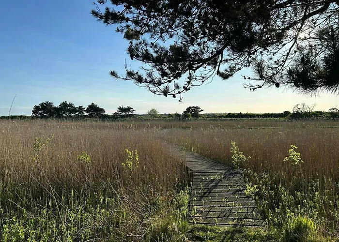 Hébergement de vacances Summer House With Fields And Fjord Views Thyholm