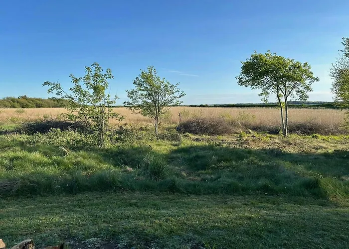 Summer House With Fields And Fjord Views Hébergement de vacances *
