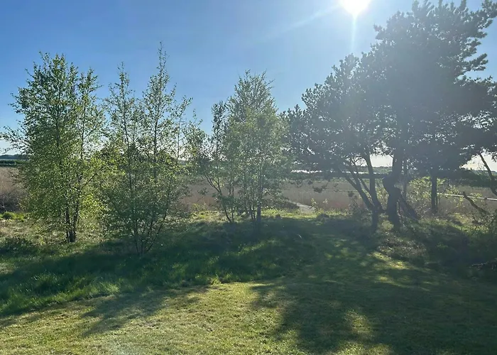 Summer House With Fields And Fjord Views Hébergement de vacances Thyholm